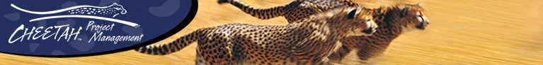 Build Your Career on the Cheetah Learning FAST Track!